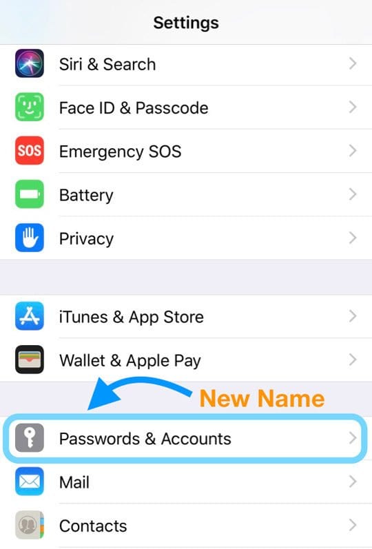 Encuentra contraseñas y cuentas de correo electrónico de iPhones en iOS 13, 12 y 11